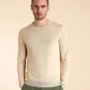 Homme Vicomte A Pulls^Pull Col Rond