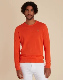 Homme Vicomte A Pulls^Pull Col Rond