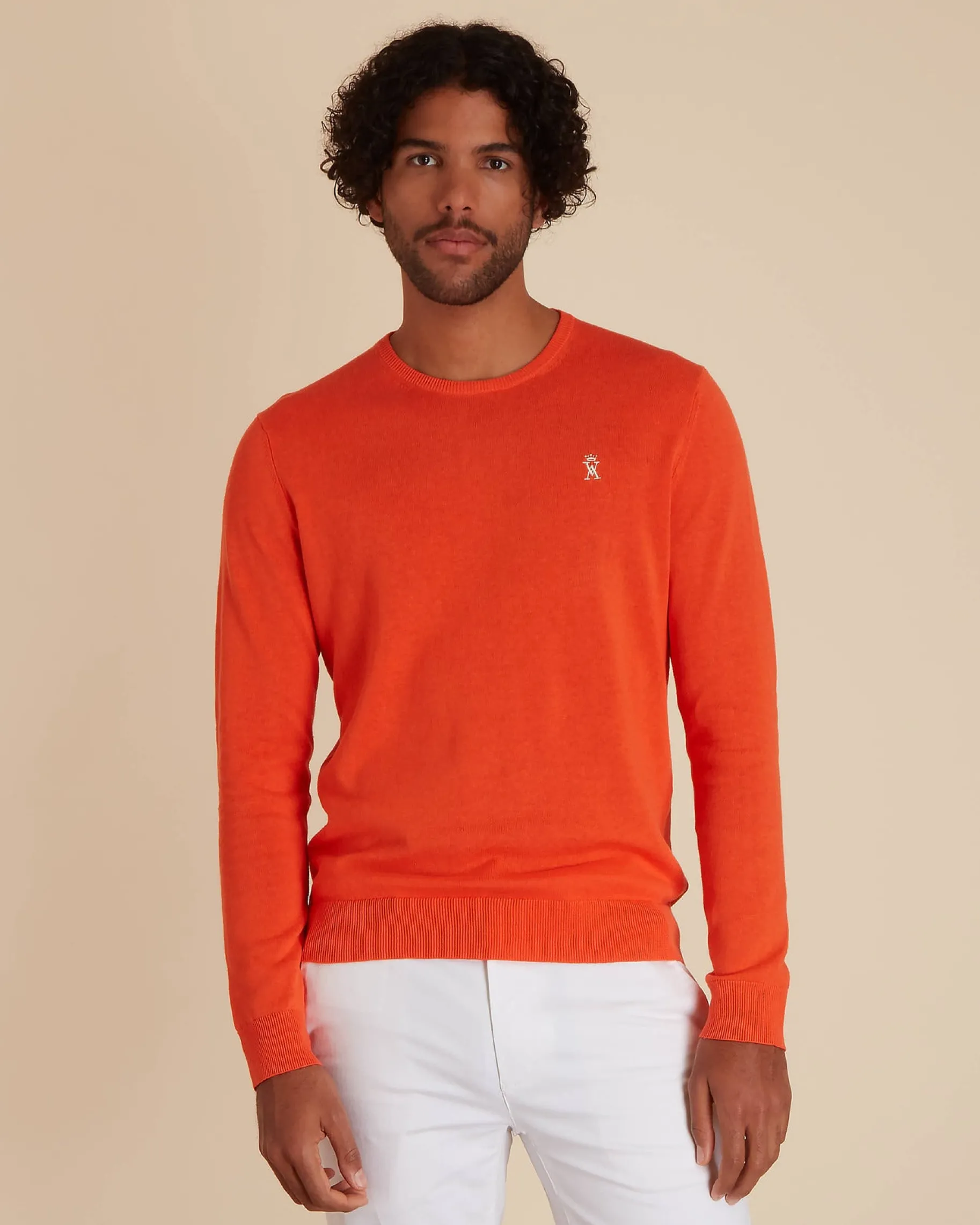 Homme Vicomte A Pulls^Pull Col Rond