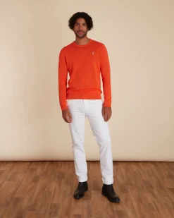 Homme Vicomte A Pulls^Pull Col Rond