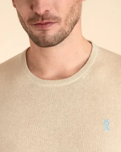 Homme Vicomte A Pulls^Pull Col Rond