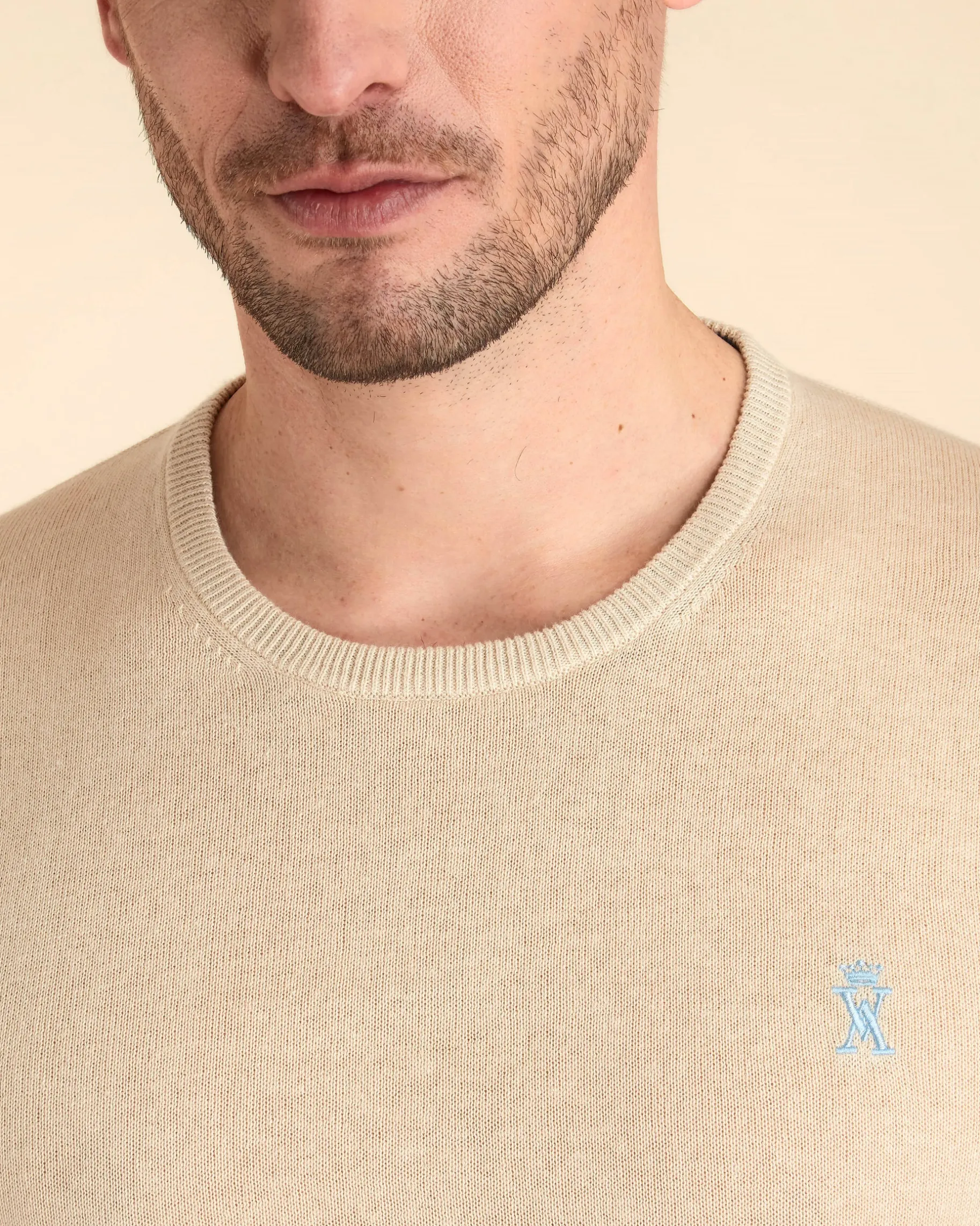 Homme Vicomte A Pulls^Pull Col Rond