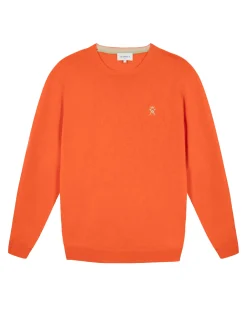 Homme Vicomte A Pulls^Pull Col Rond