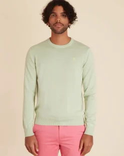 Homme Vicomte A Pulls^Pull Col Rond Uni