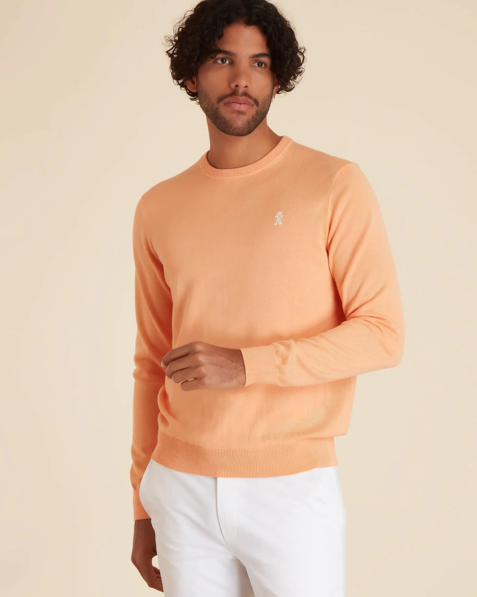 Homme Vicomte A Pulls^Pull Col Rond Uni