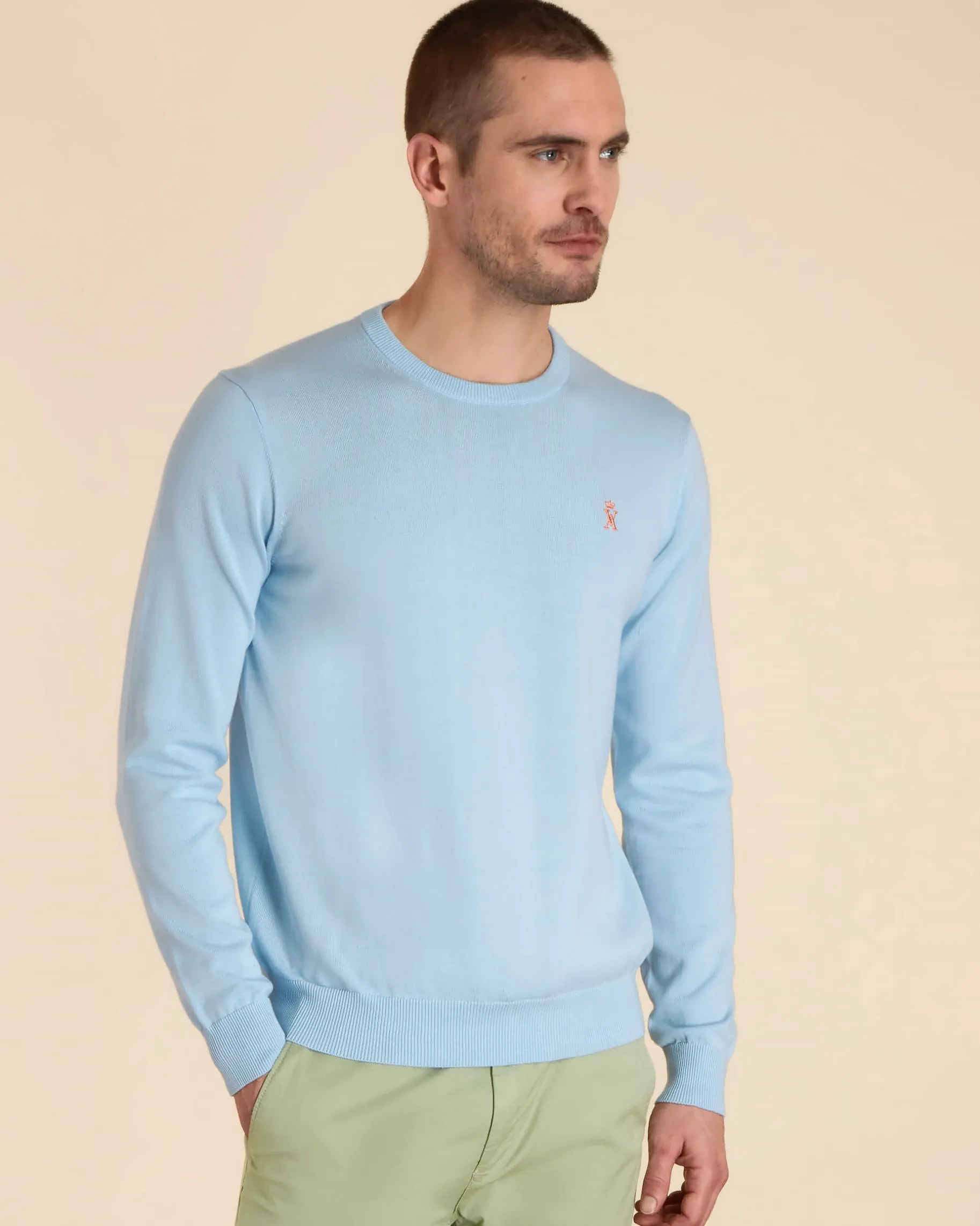 Homme Vicomte A Pulls^Pull Col Rond Uni