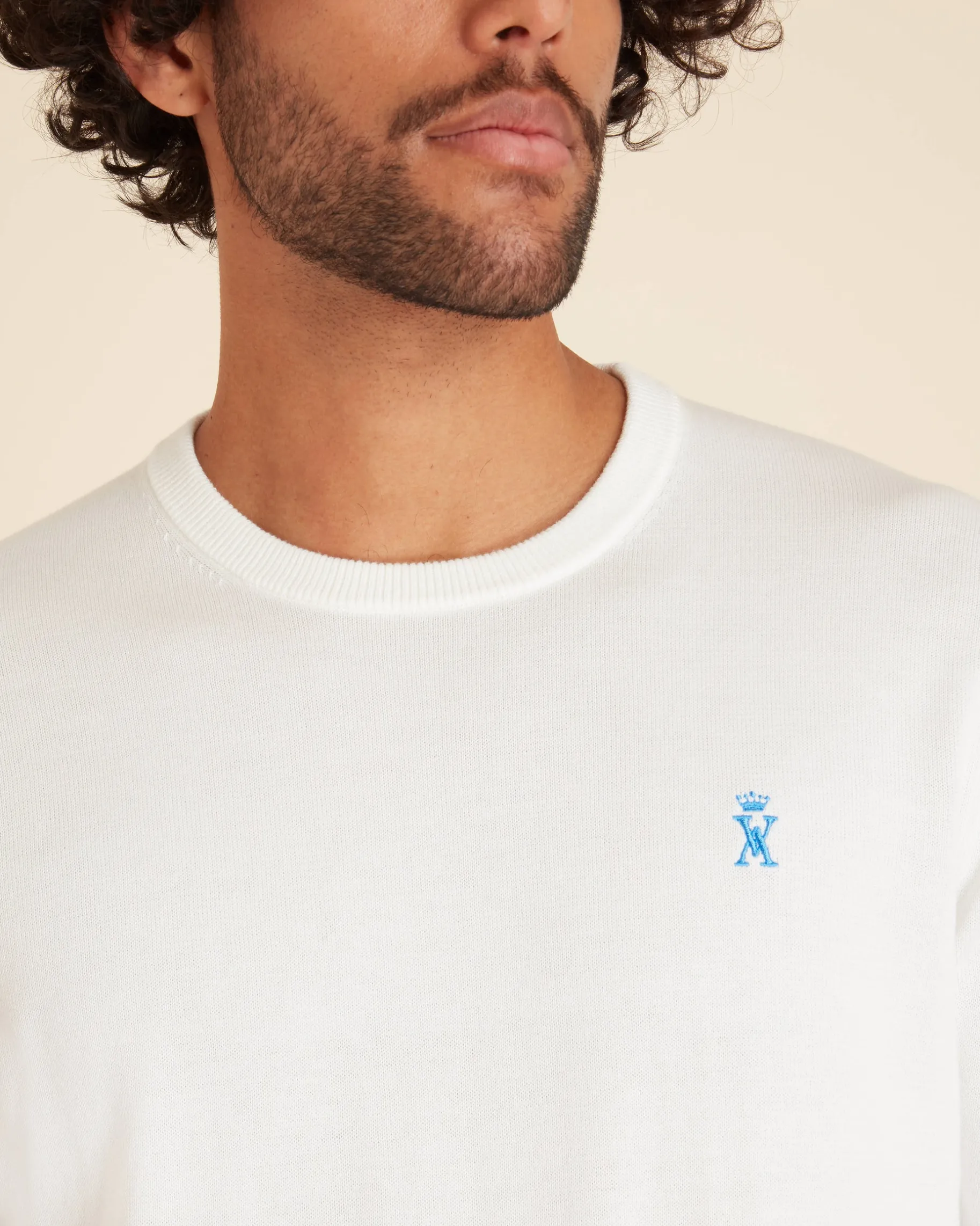 Homme Vicomte A Pulls^Pull Col Rond Uni