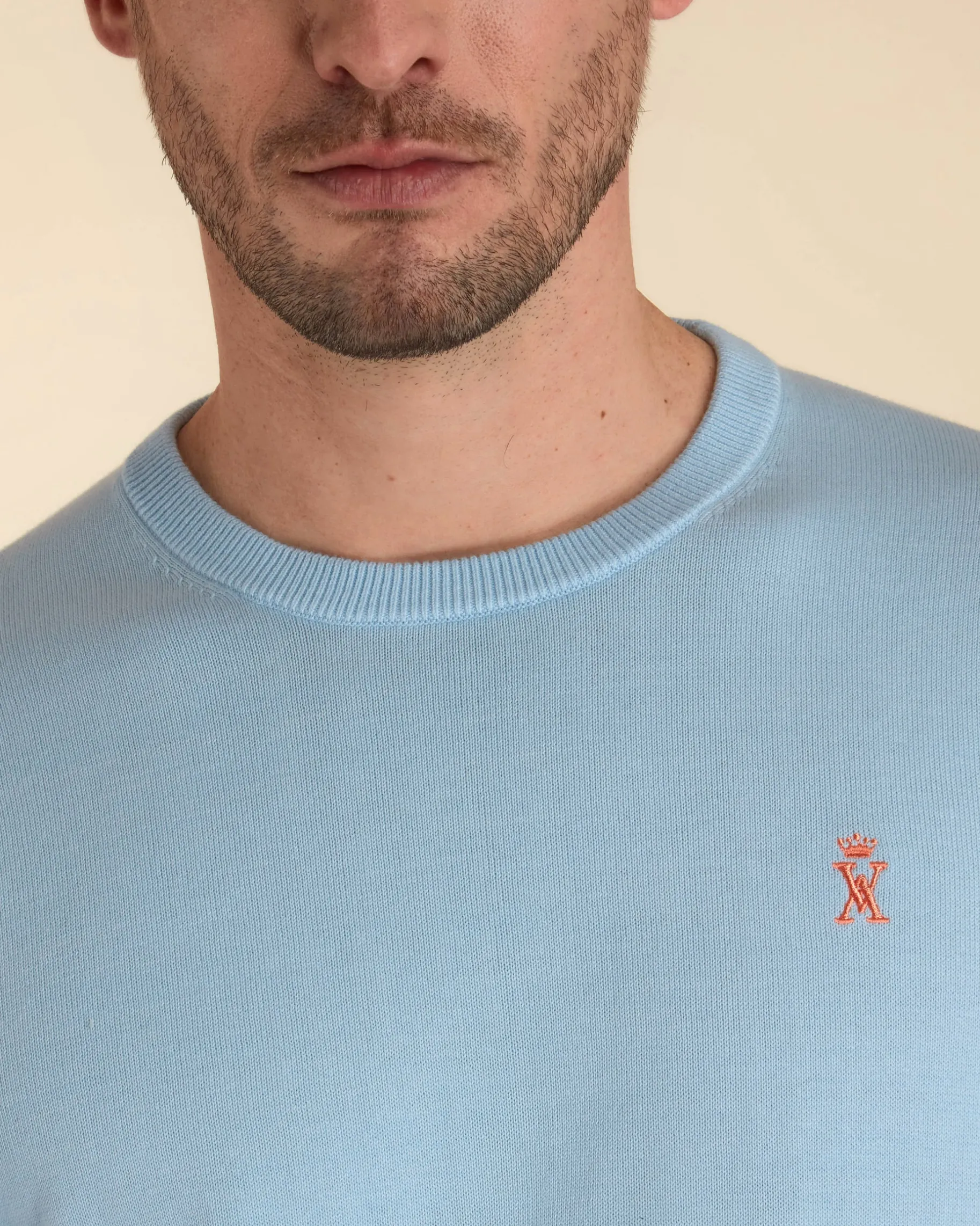 Homme Vicomte A Pulls^Pull Col Rond Uni